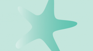 Illustration of a green starfish on light green background